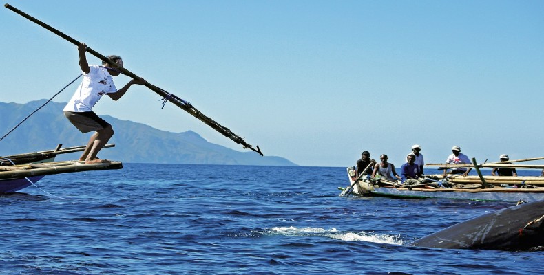 جشنواره شکار نهنگ لامالرا