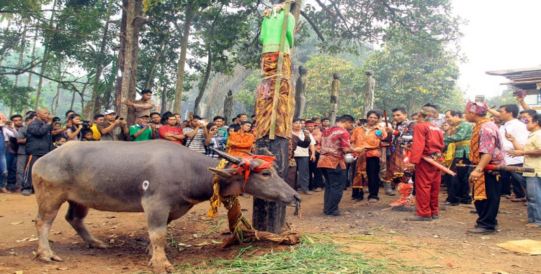 آیین تیوا در اندونزی