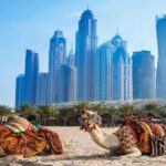 جاذبه های امارات