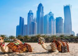 جاذبه های امارات