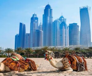 جاذبه های امارات