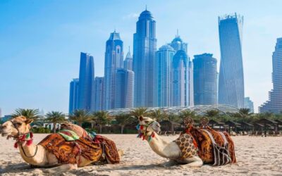 جاذبه های امارات