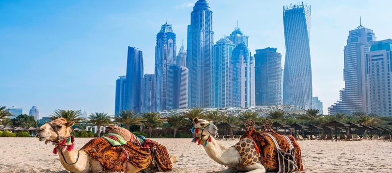 جاذبه های امارات