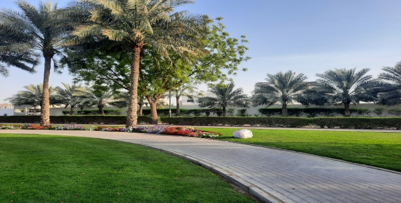 پارک الحمیدیه عجمان