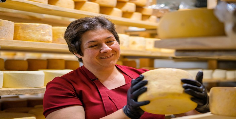 پنیرهای محلی ارمنستان در کارگاه تولید؛ سوغات خوشطعم ارمنی