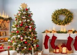 درخت کریسمس از کجا آمده؟