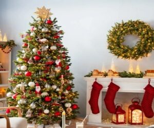 درخت کریسمس از کجا آمده؟