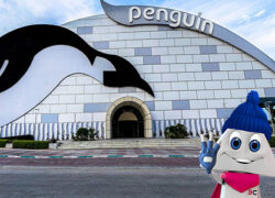 پارک برفی پنگوئن کیش
