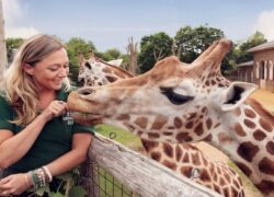 باغ وحش های استانبول