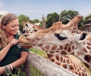 باغ وحش های استانبول