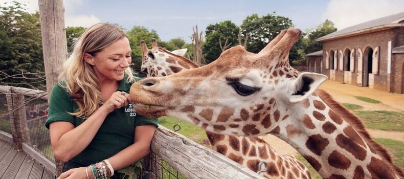 باغ وحش های استانبول