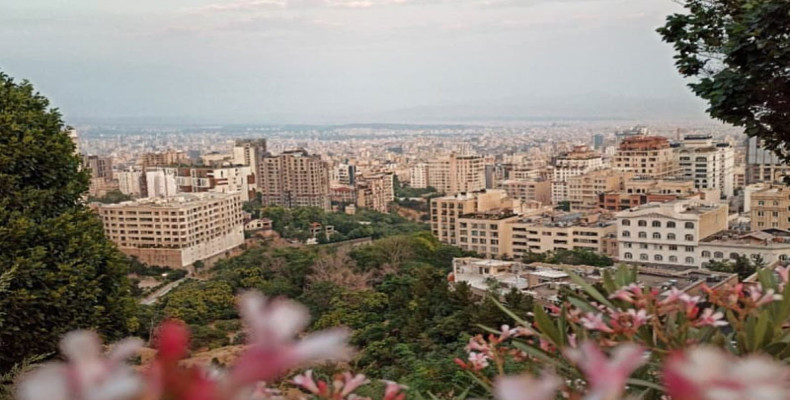 بام شکاری