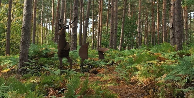 فضای مرموز و زیبای جنگل براکسبورن وودز (Broxbourne Woods) در لندن
