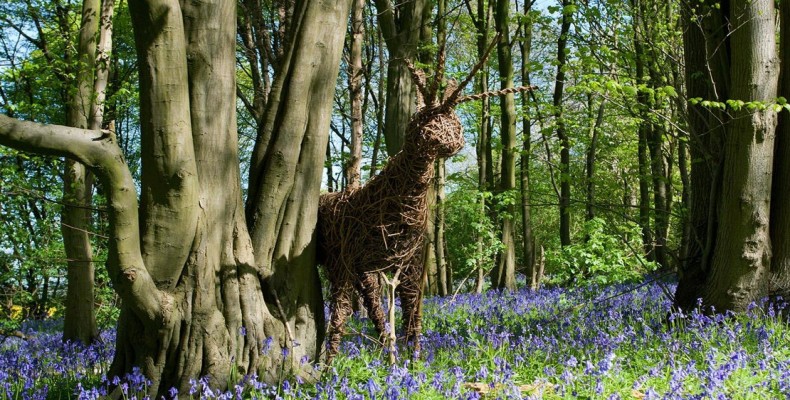 جنگل قلب چوبی (Heartwood Forest) در لندن