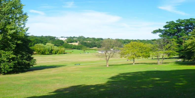 جنگل اوک هیل وودز (Oak Hill Woods) از زیباتری جنگل های لندن