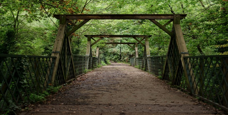  جنگل های دولویچ (Sydenham Hill and Dulwich Wood) در لندن