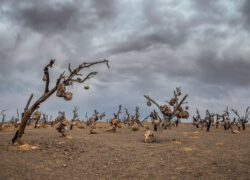 جاهای ترسناک ایران