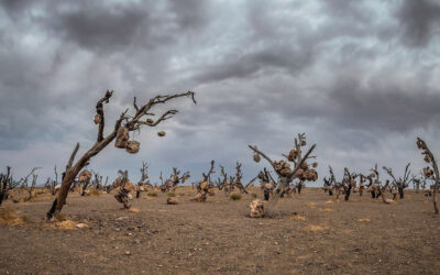 جاهای ترسناک ایران
