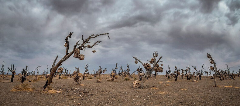 جاهای ترسناک ایران