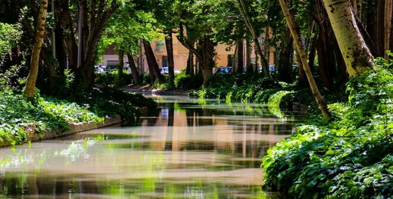 مادی فرشادی اصفهان؛ پاتوقی آرام در میان درختان کهنسال