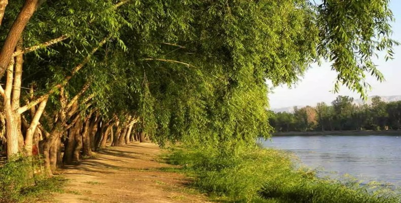پارک جنگلی ناژوان اصفهان؛ طبیعتی سرسبز با تفریحات خانوادگی از پاتوق های اصفهان