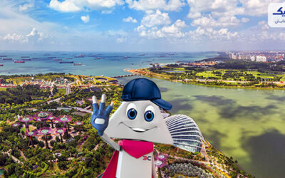 فرهنگ های عجیب و غریب سنگاپور