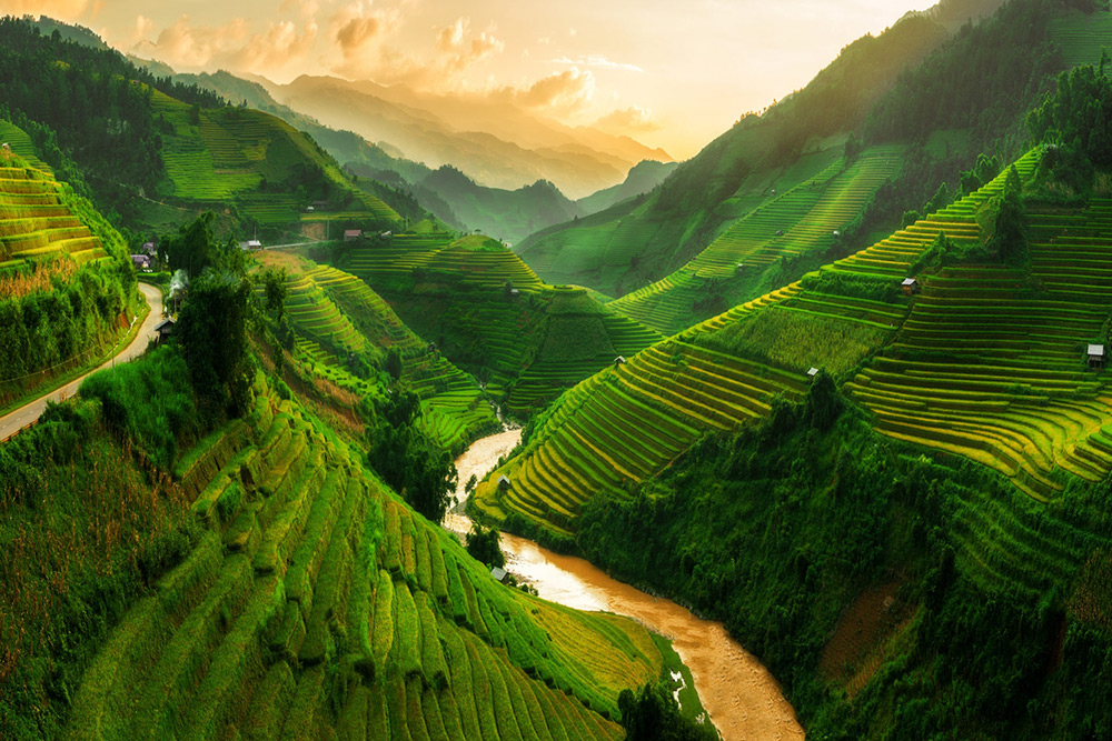 راهنمای سفر به ویتنام؛ به همراه بوی چای