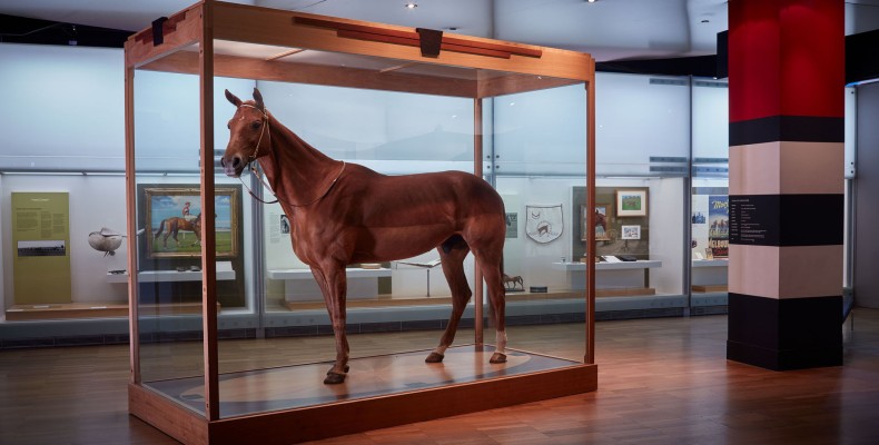 اسب افسانهای Phar Lap در موزه ملبورن؛ از دیدنیترین بخشهای Melbourne Museum