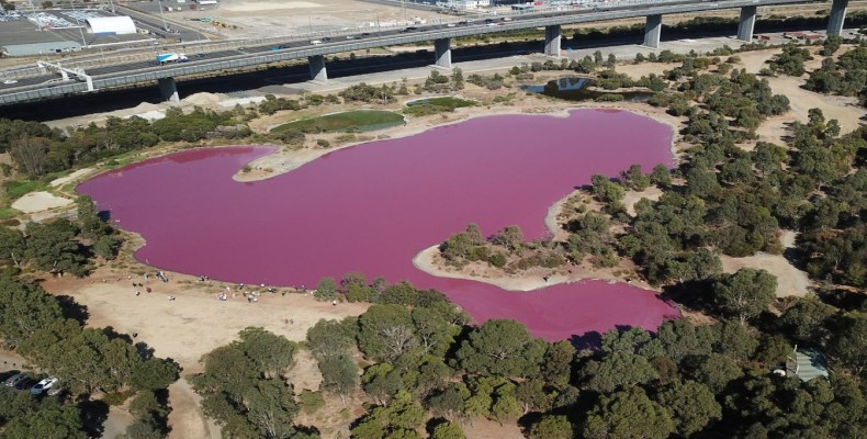 دریاچه صورتی پارک وستگیت ملبورن؛ یکی از جاذبه های خاص دیدنی ملبورن