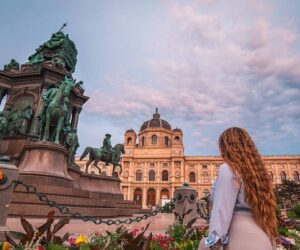 سفر انفرادی به وین