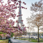 Paris in spring