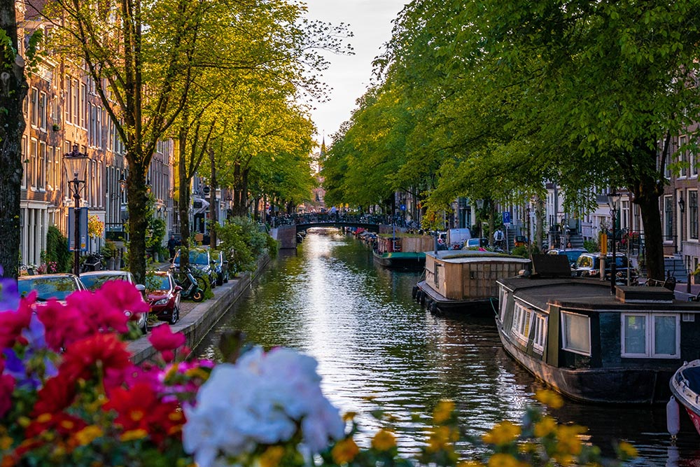 بهار در آمستردام