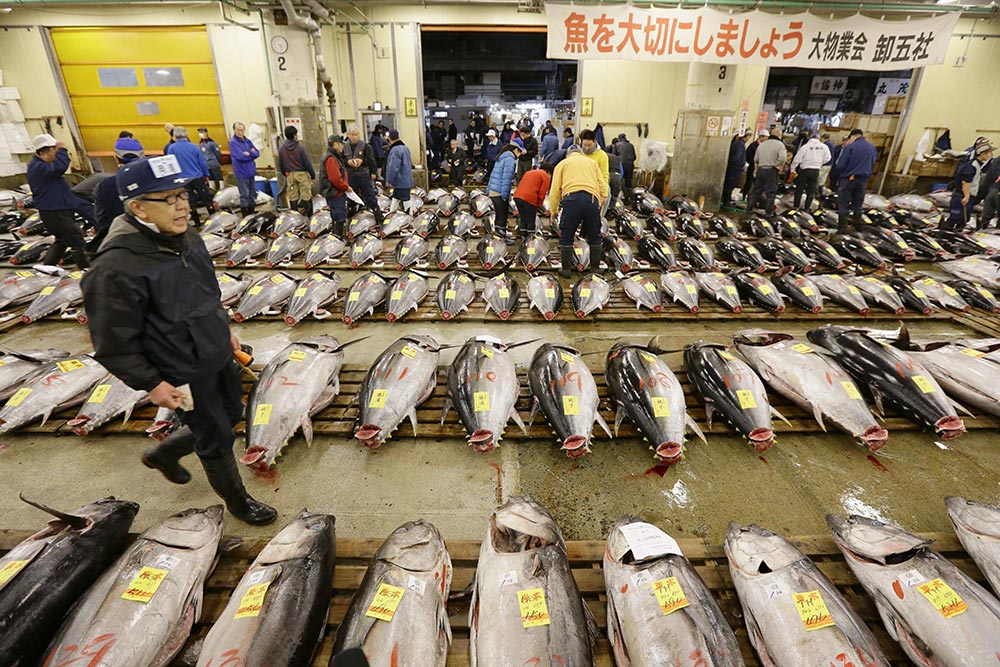 Tsukiji Fish Market