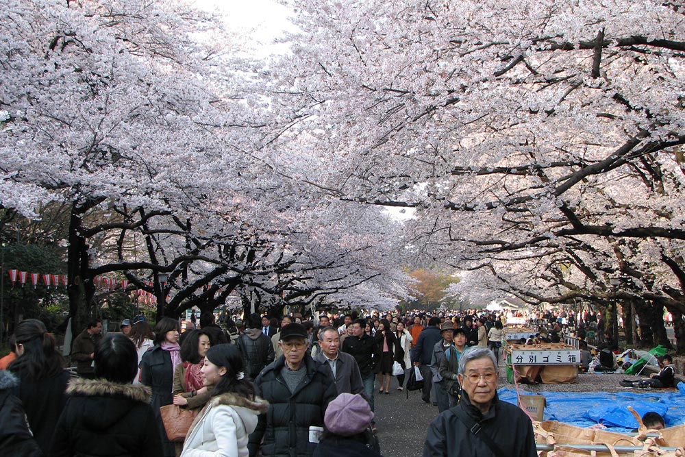 Ueno Park