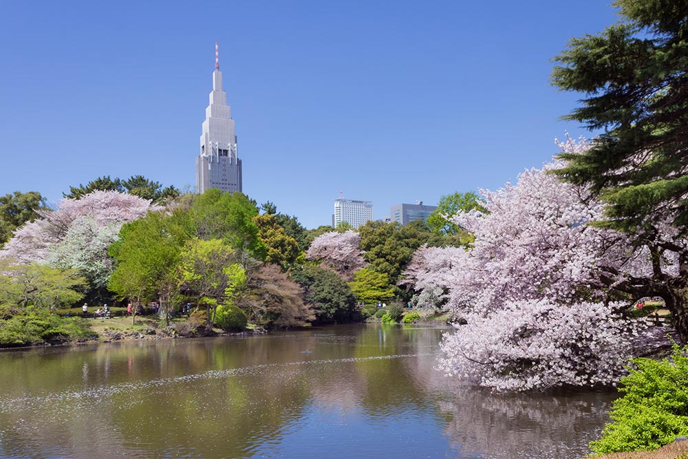 Shinjuku Gyoen