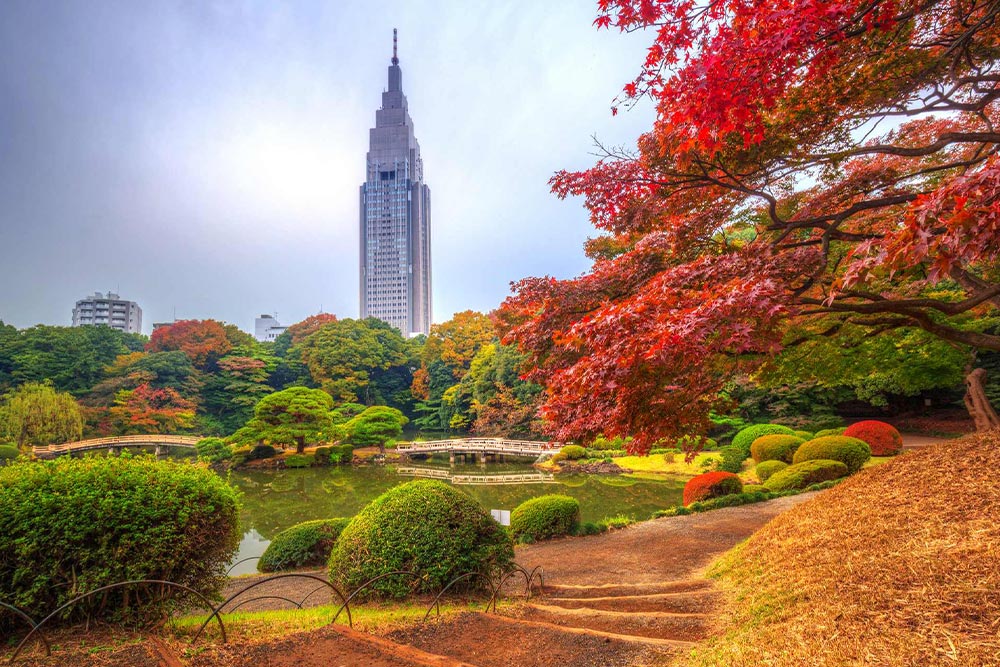 Shinjuku Gion National Park