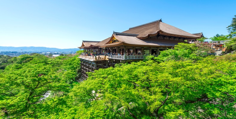 نمای معبد کیومیزو-درا در کیوتو بر فراز درختان سرسبز؛ از معروفترین معابد ژاپن