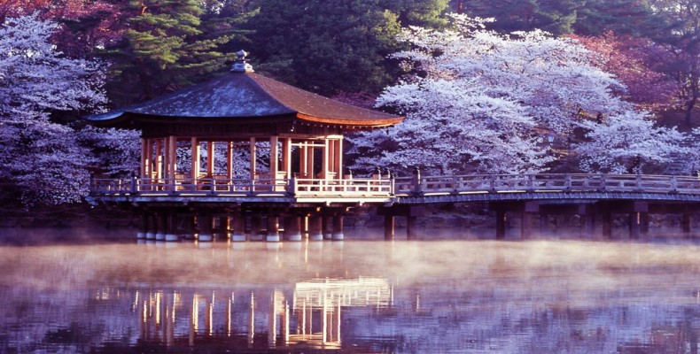 طبیعت خاص و زیبای نارا در ژاپن