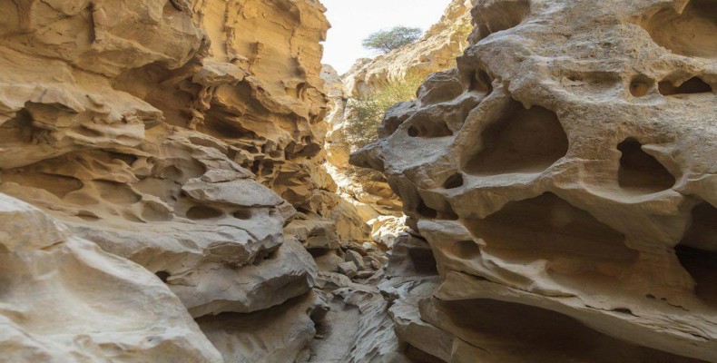 تنگه چاهکوه قشم با دیوارههای فرسایشیافته و مسیر باریک