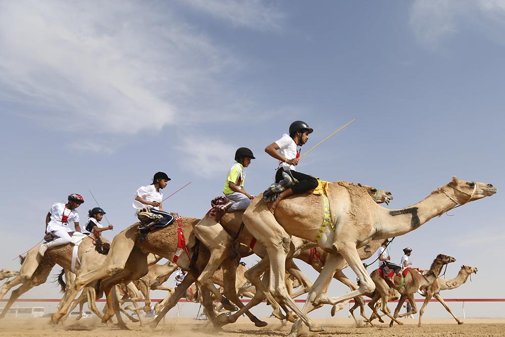 Camel riding competition در سفر به دبی در پاییز