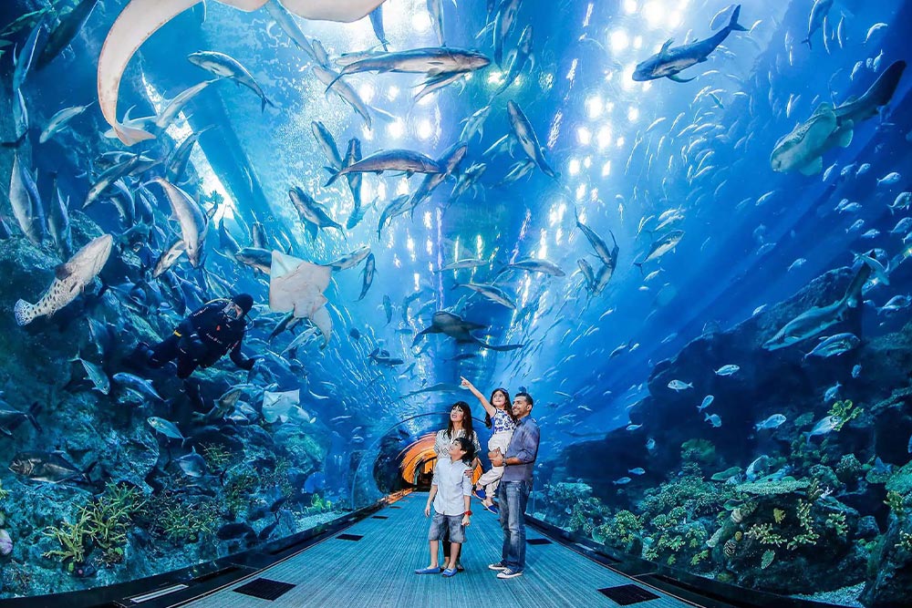  و سفر به دبی در زمستان Dubai Aquarium