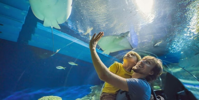 بازدید از آکواریوم دبی و تونل شیشهای؛ تجربهای مناسب برای سفر زمستانی به دبی