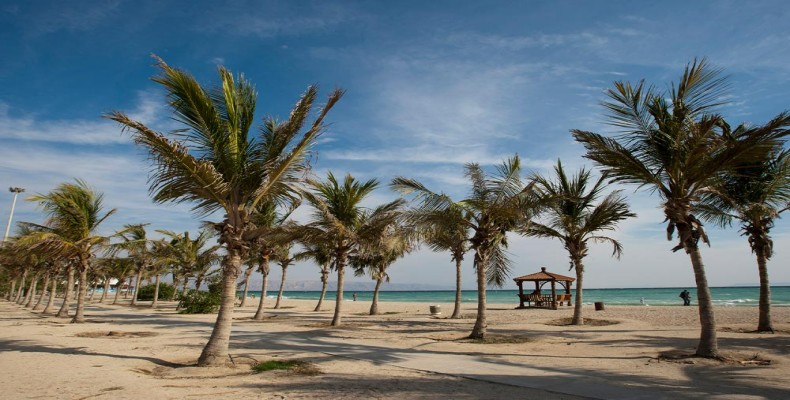 ساحل نخل‌های کیش در هوای آفتابی؛ یکی از بهترین مقاصد سفر نوروزی