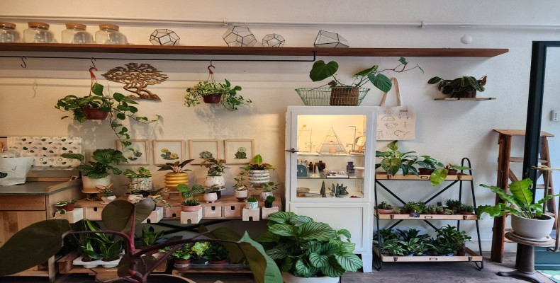 کافه Muz Botanik & Kahve با دکور گیاهان طبیعی؛ از بهترین کافه های استانبول برای آرامش