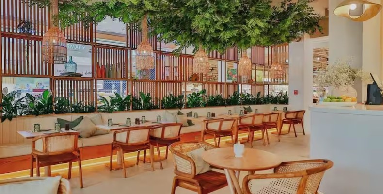 دکور گرم و چوبی رستوران Roots Bistro دبی با نور طبیعی و گیاهان سبز؛ رستوران گیاهی محبوب در دبی
