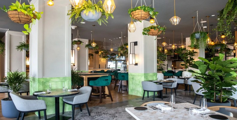 فضای سبز و دنج رستوران SoulGreen دبی با میزهای چوبی و نور طبیعی؛ از محبوب‌ترین رستوران‌های گیاهی دبی