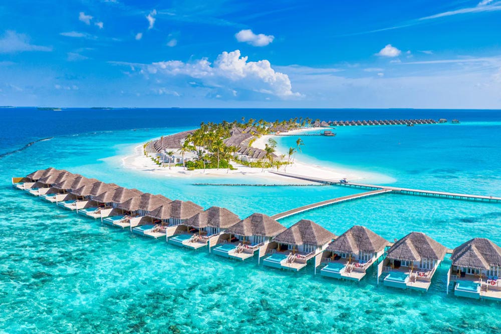 Maldives trowel