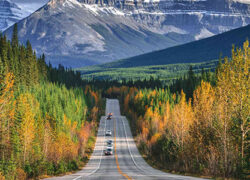 The icefields parkway