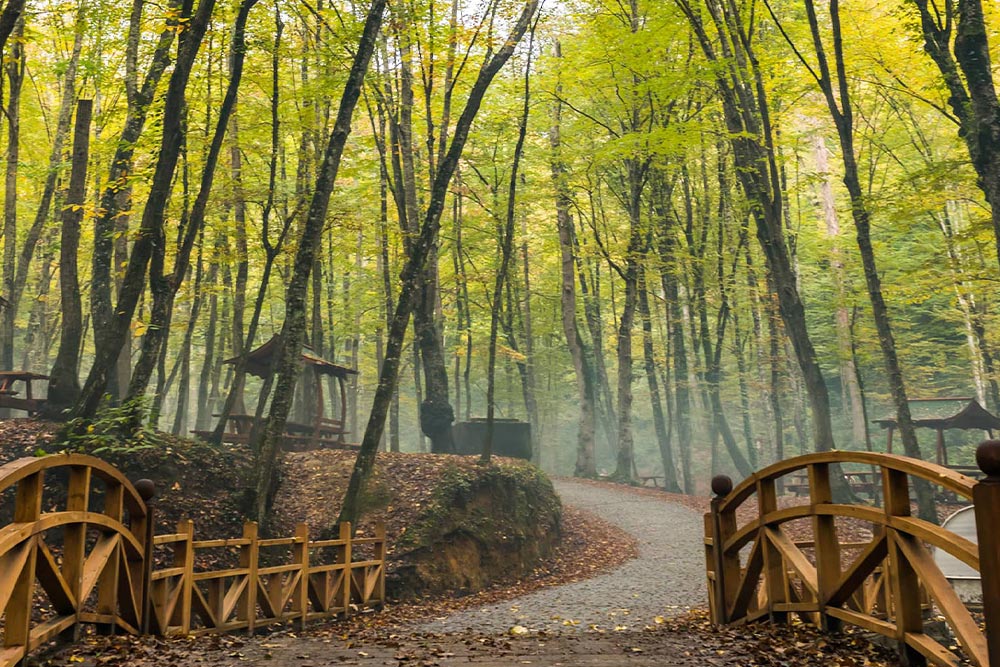 Istanbul Belgrade Forest