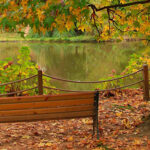 Ataturk Arboretum in Belgrade Forest, Istanbul